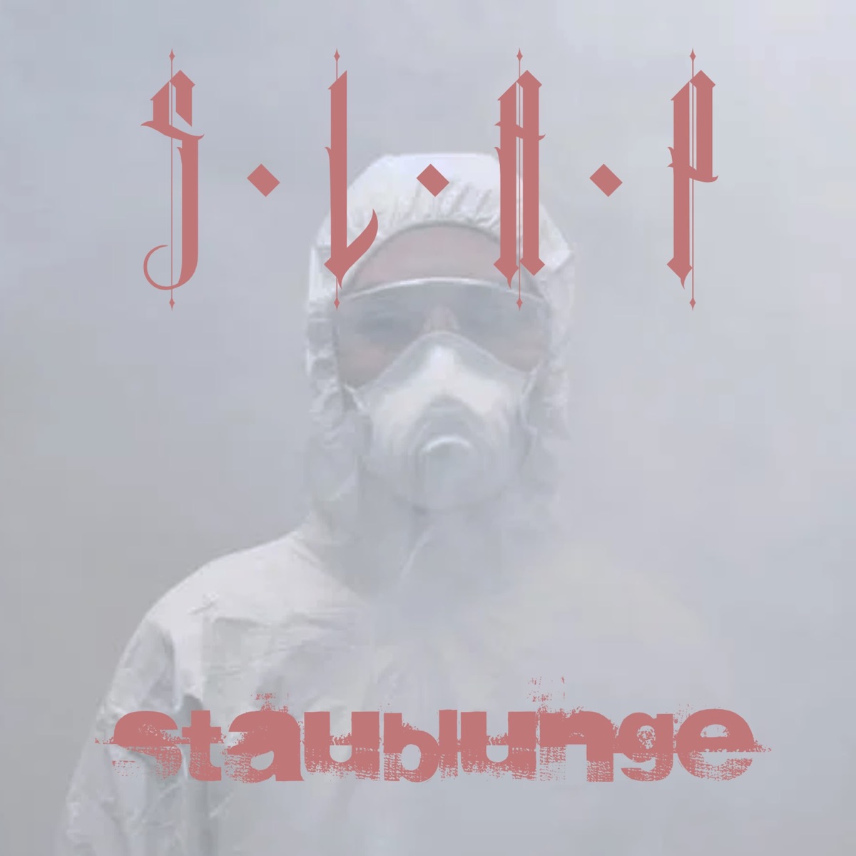Staublunge (feat. DJ PhilHeat) - Single by S.L.A.P. & eight8eat album cover