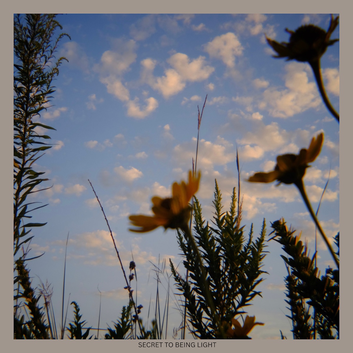 The Secret to Being Light - Single by The Ruralists album cover
