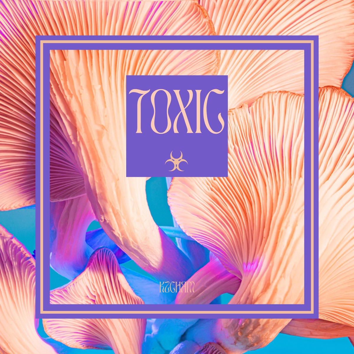 Toxic - Single by Kzcham album cover