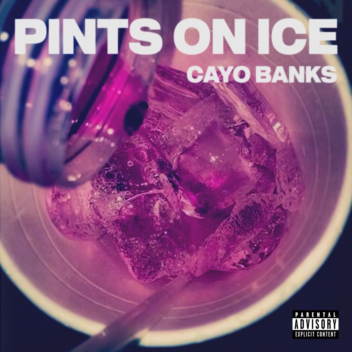 Pints On Ice - Single by Cayo album cover