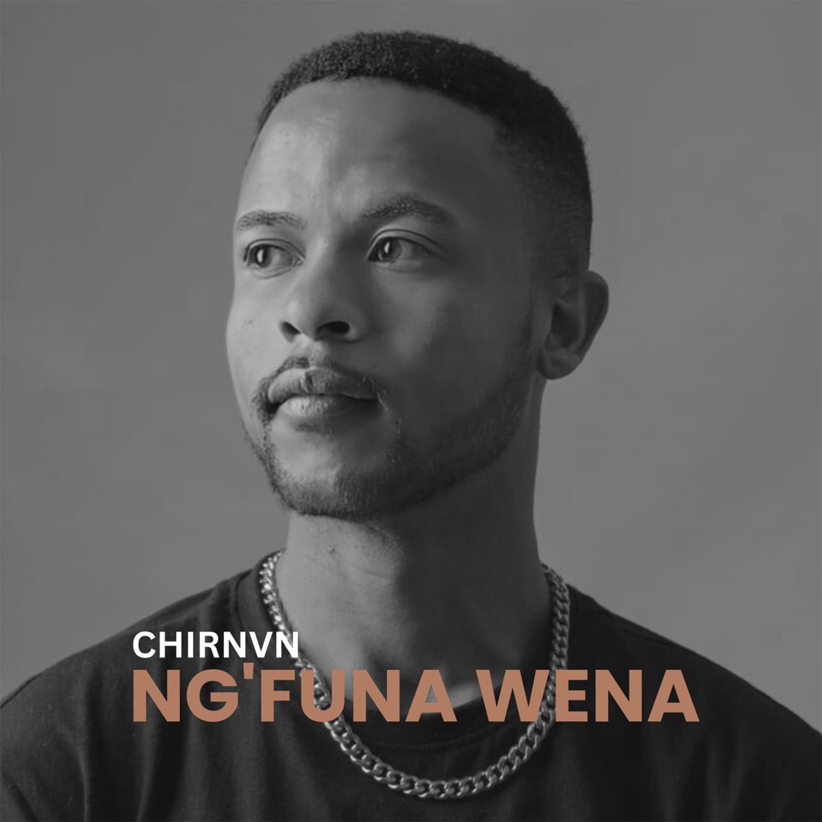 Ng'funa Wena (feat. Nation-365, 20ty Soundz, Strauss Yanos, Zoe Zee, Slizzy & Ntsikie Mash) - Single by Chirnvn & Busta 929 album cover