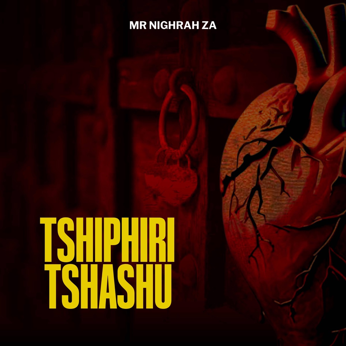 Tshiphiri Tshashu by Mr Nighrah ZA album cover