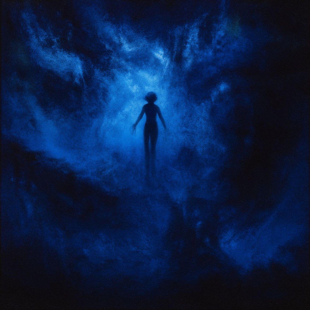 WITHER - Single by Zarl1t album cover