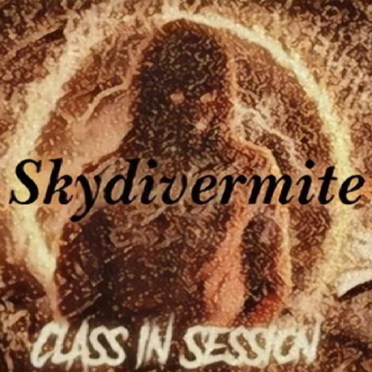 Skydiving101: Class In Session, Vol. 1 by Skydivermite album cover