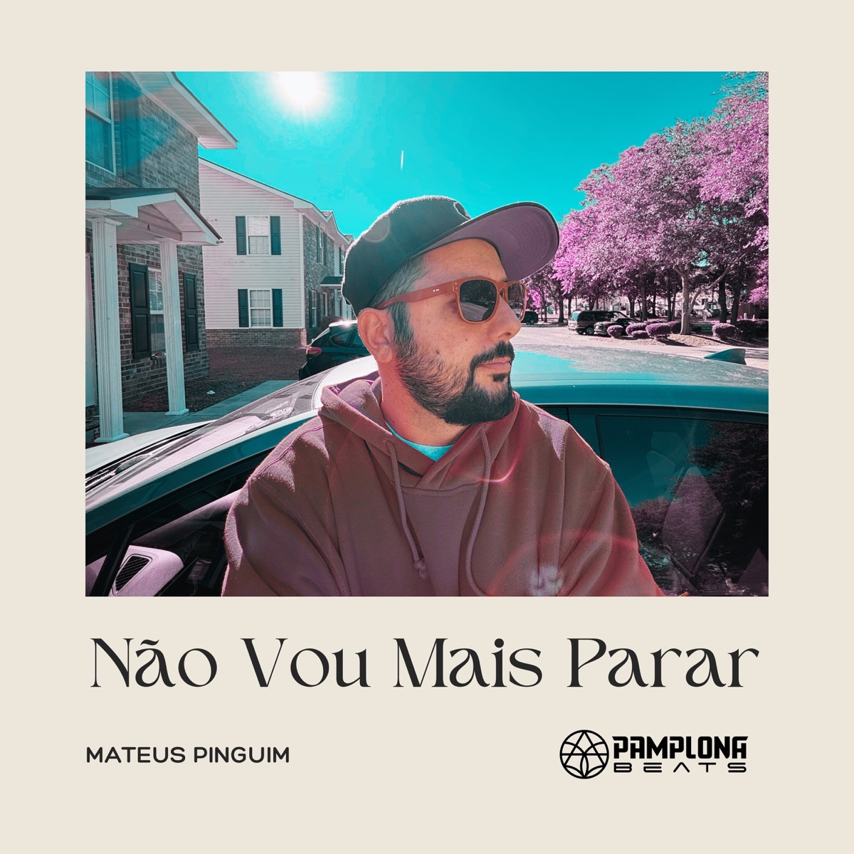 Não Vou Mais Parar - Single by Mateus Pinguim album cover