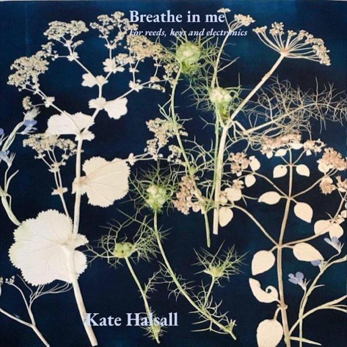 Breathe in Me by Kate Halsall album cover