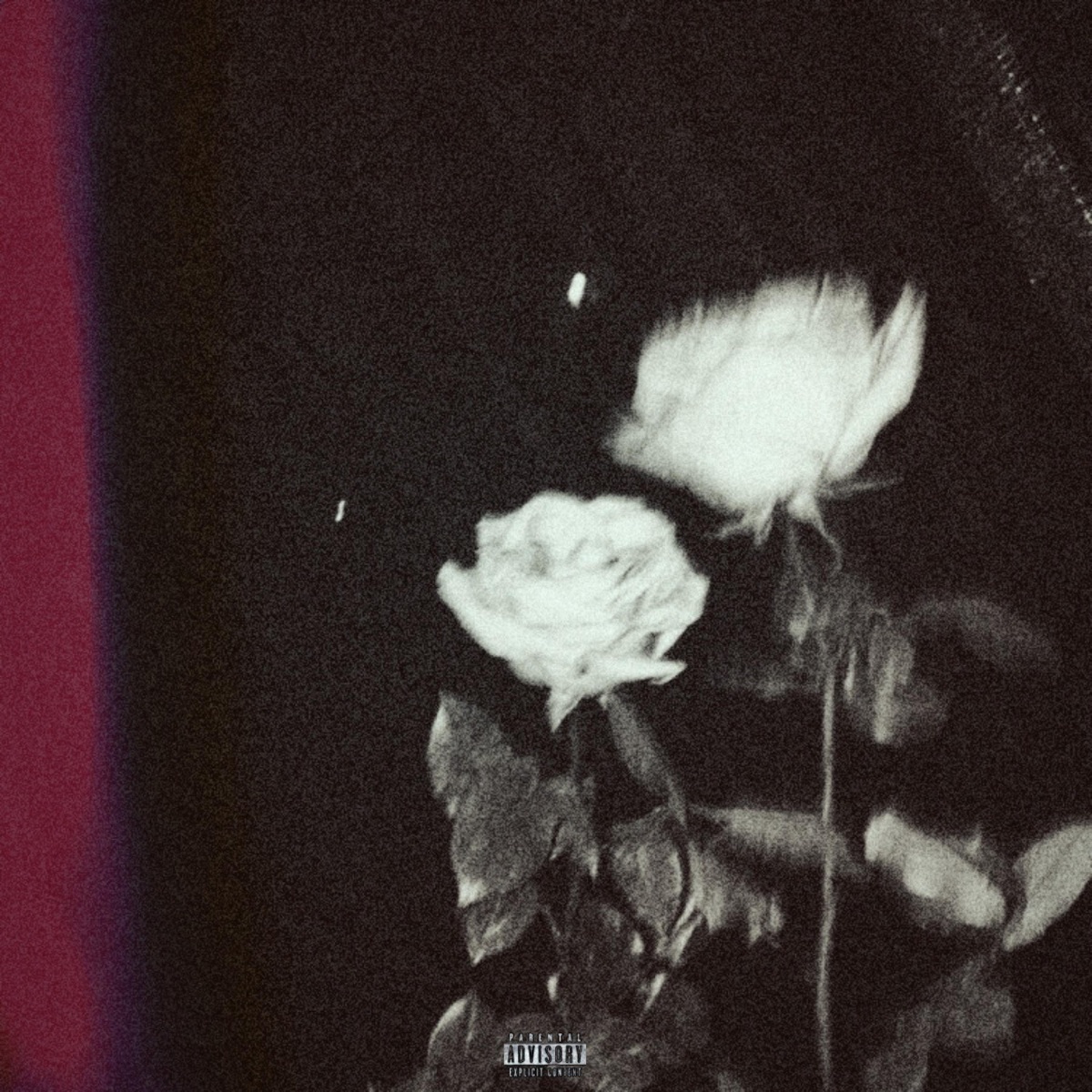 petali - Single by Mora album cover