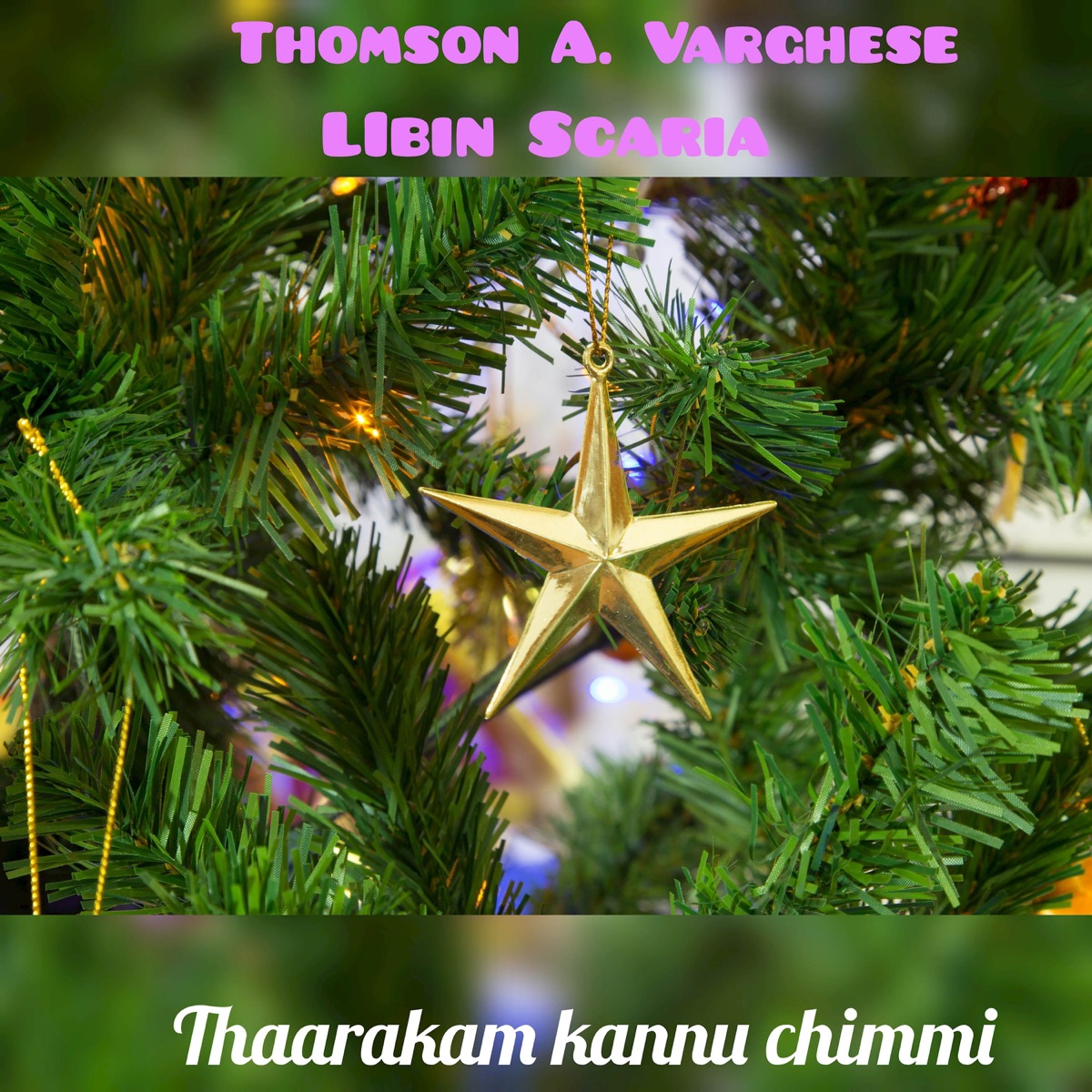 Thaarakam kannu chimmi - Single by Thomson A Varghese, Libin Scaria & Rithuraj album cover
