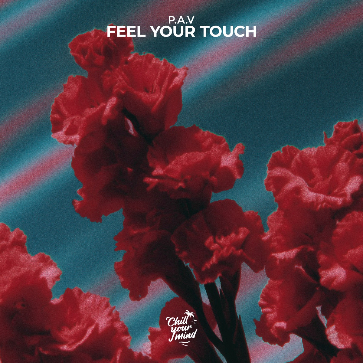 Feel Your Touch - Single by P.A.V album cover