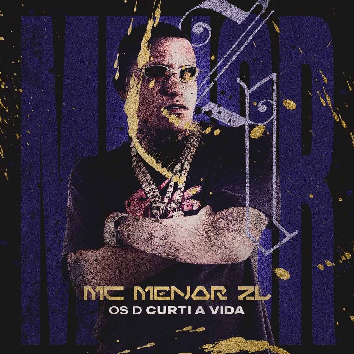 Os D Curti a Vida - Single by MC Menor ZL album cover