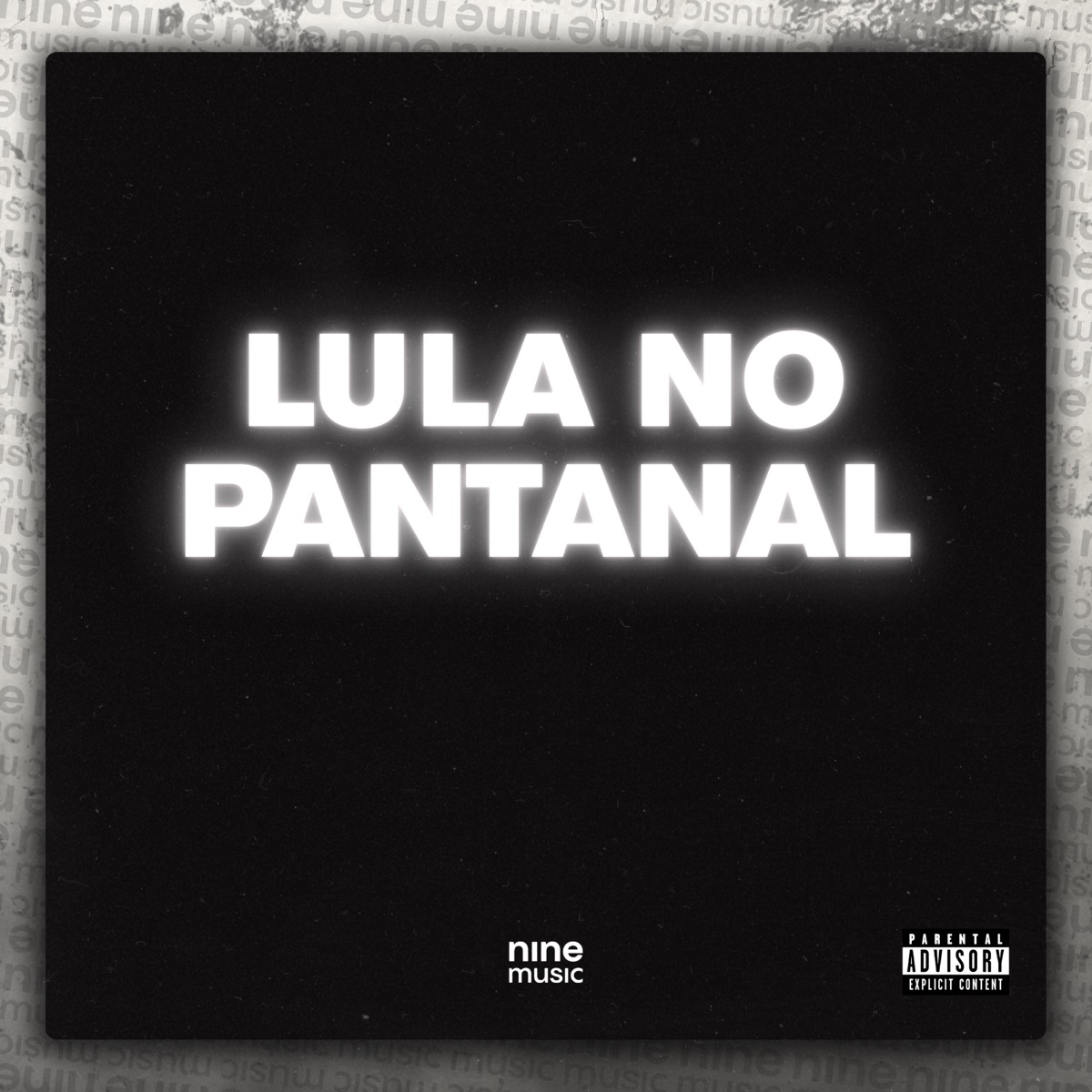 Lula no Pantanal - Single by DJ Igoor, MC Braza & Erickzin album cover