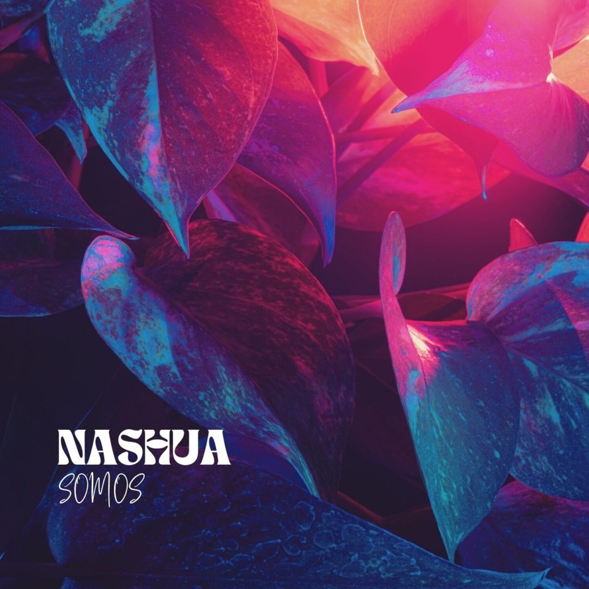 Somos (feat. Entretiempo) - Single by Nashua album cover