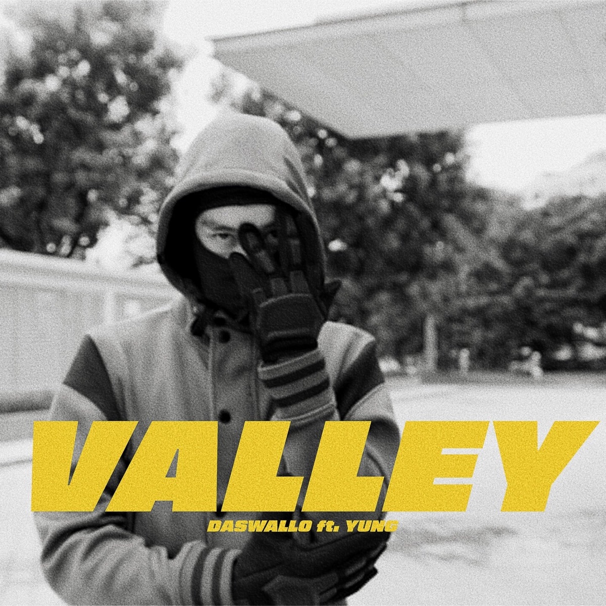Valley - Single by Daswallo & Yung album cover