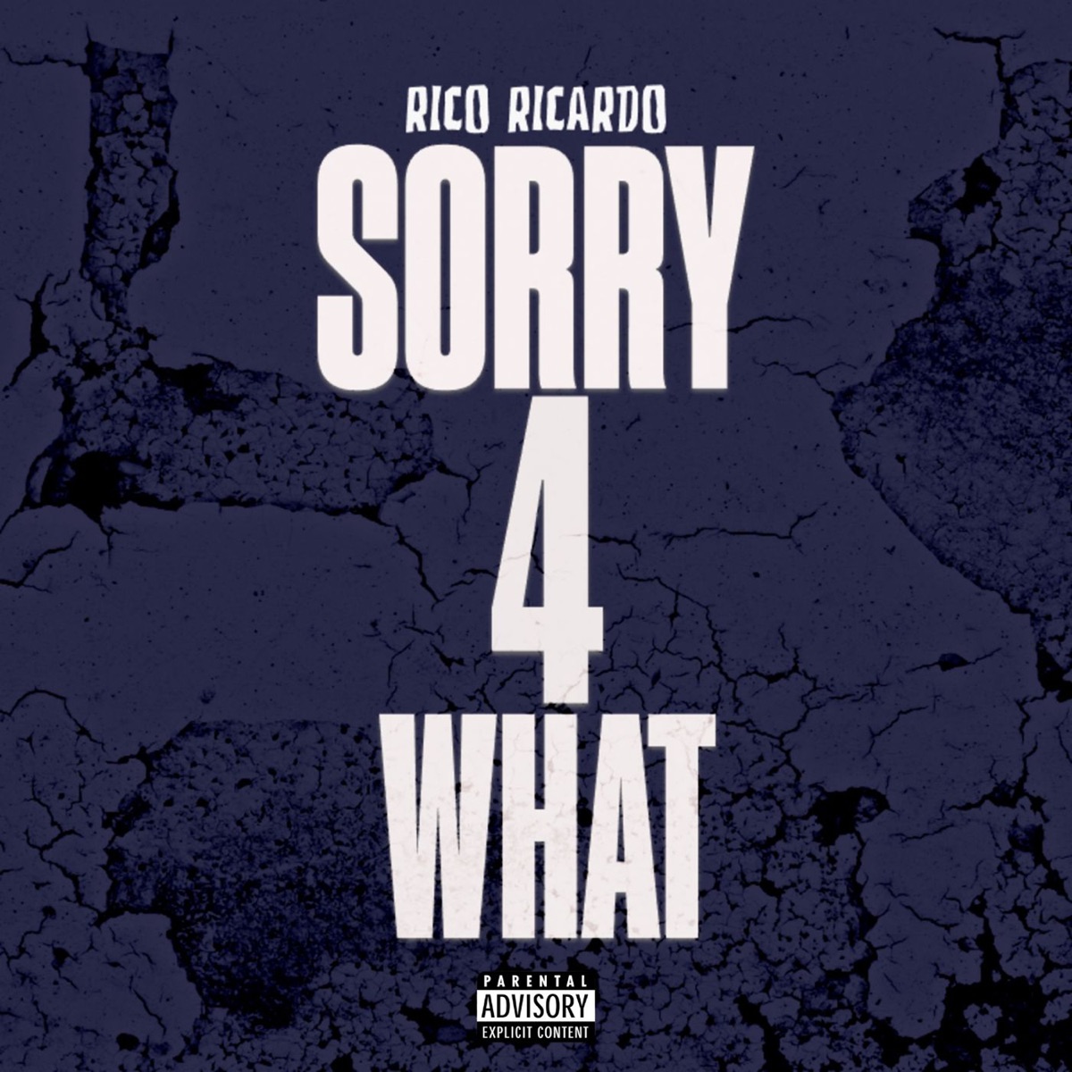 SORRY 4 WHAT - Single by Rico Ricardo album cover
