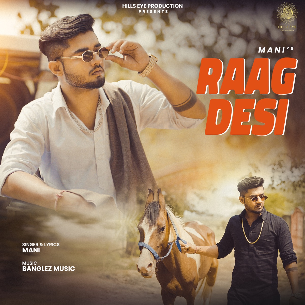 Raag Desi - Single by Mani Singhania album cover