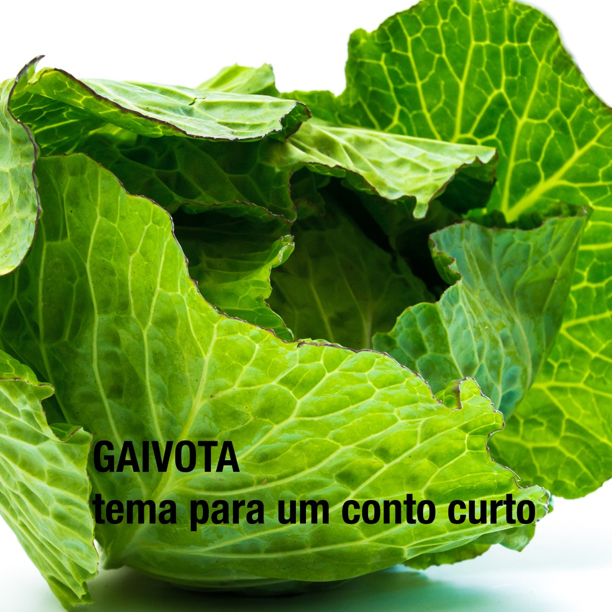 Gaivota: Tema para um Conto Curto by ARPX album cover