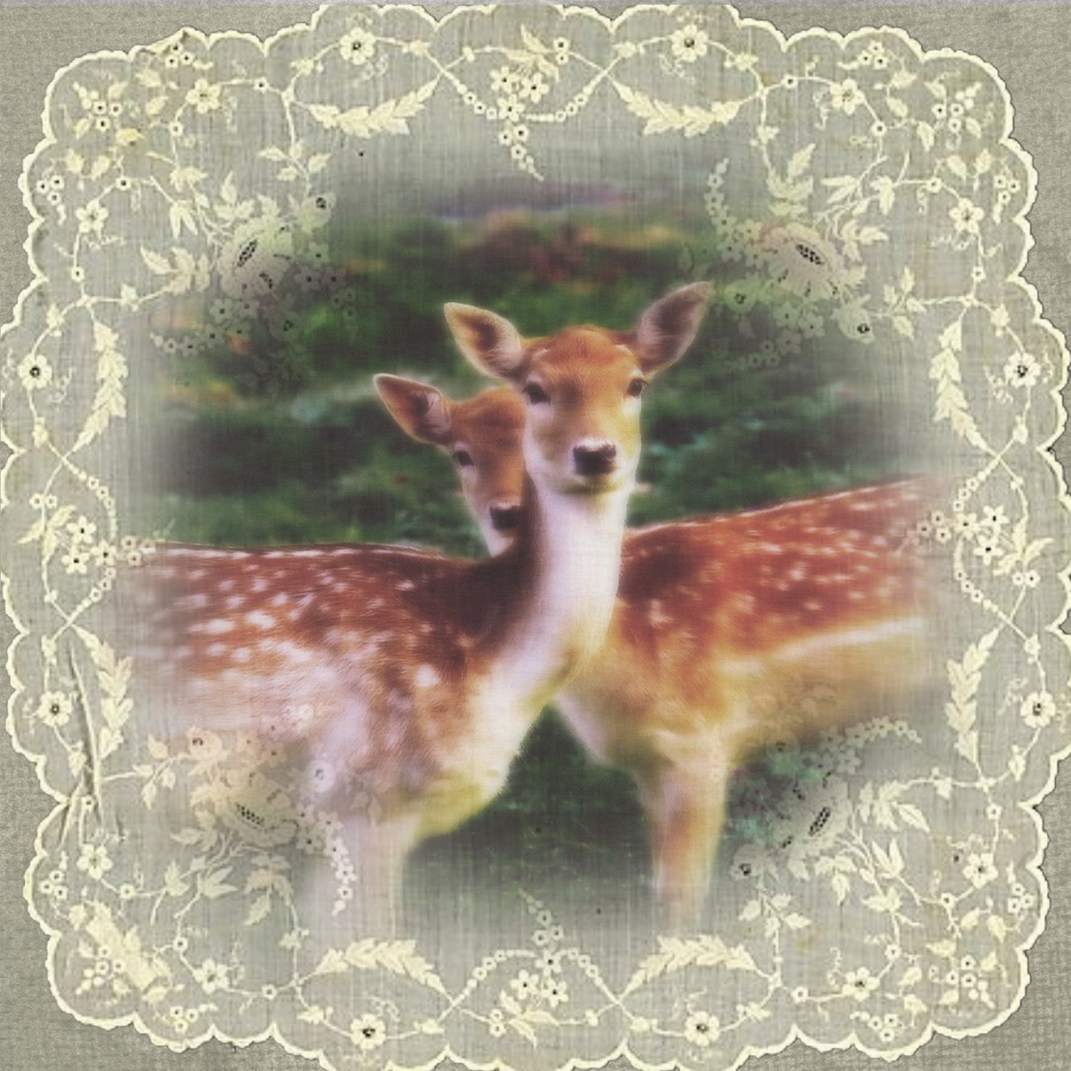 Nhẹ nhàng va vào nhau - Single by Lục Huy album cover
