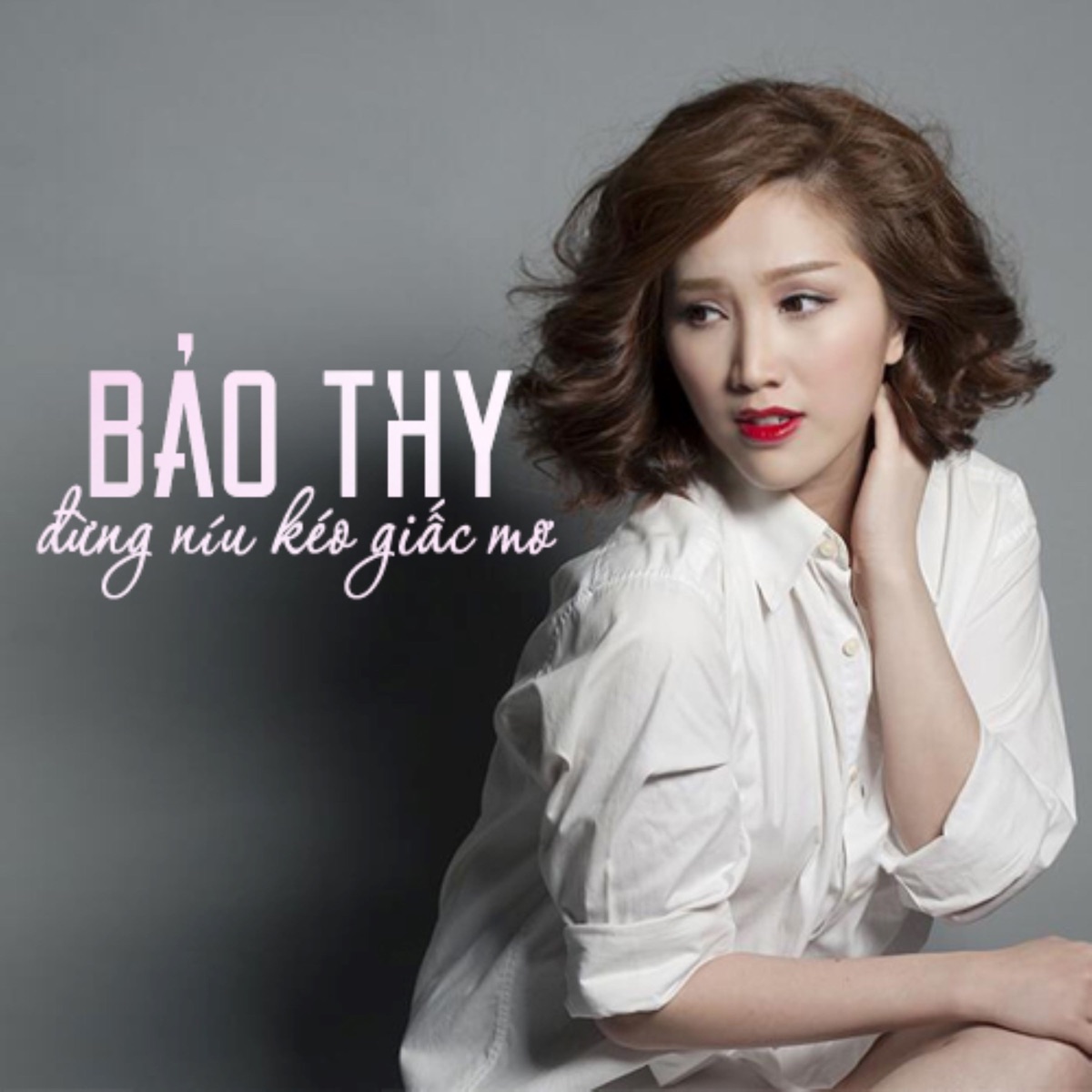 Đừng Níu Kéo Giấc Mơ - Single by Bảo Thy album cover