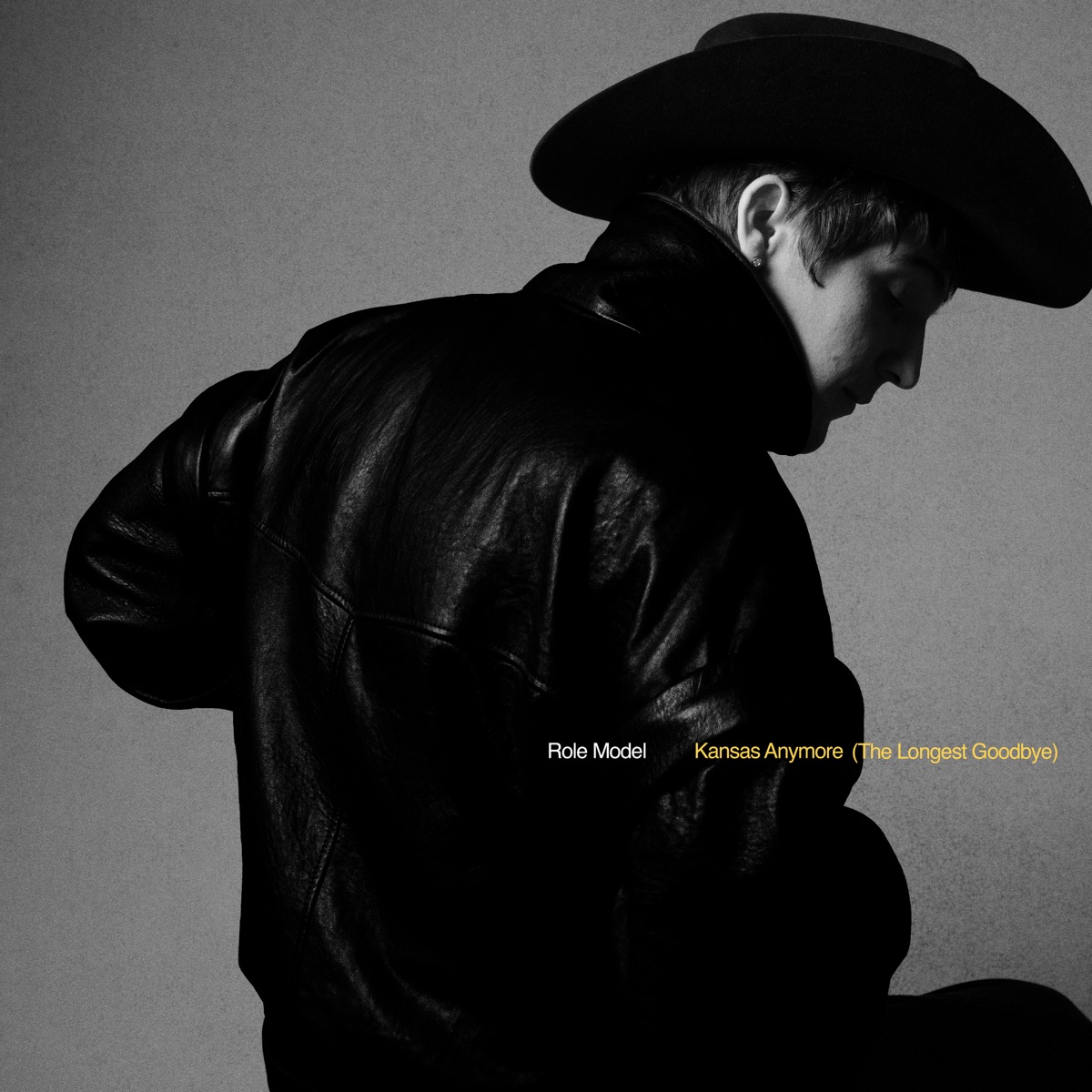 Kansas Anymore (The Longest Goodbye) by ROLE MODEL album cover