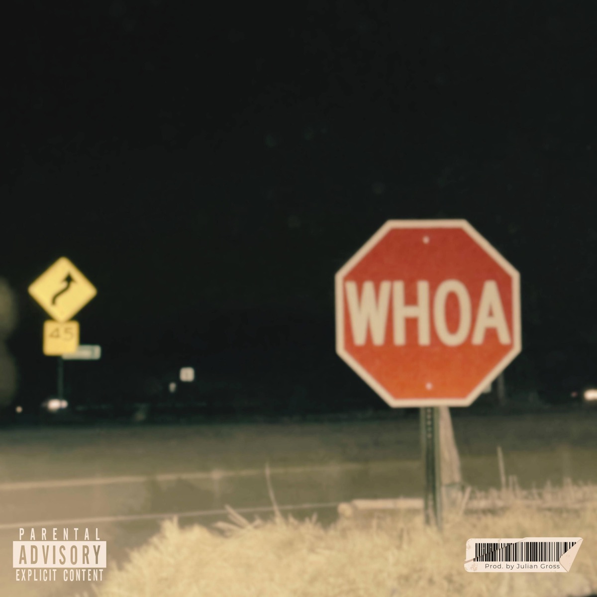STFD (feat. Heyzeus) - Single by Julian Gross album cover