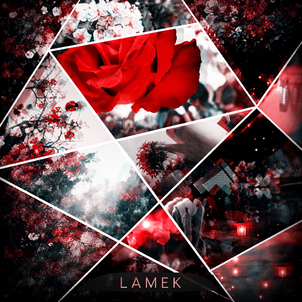 CAN by LAMEK album cover