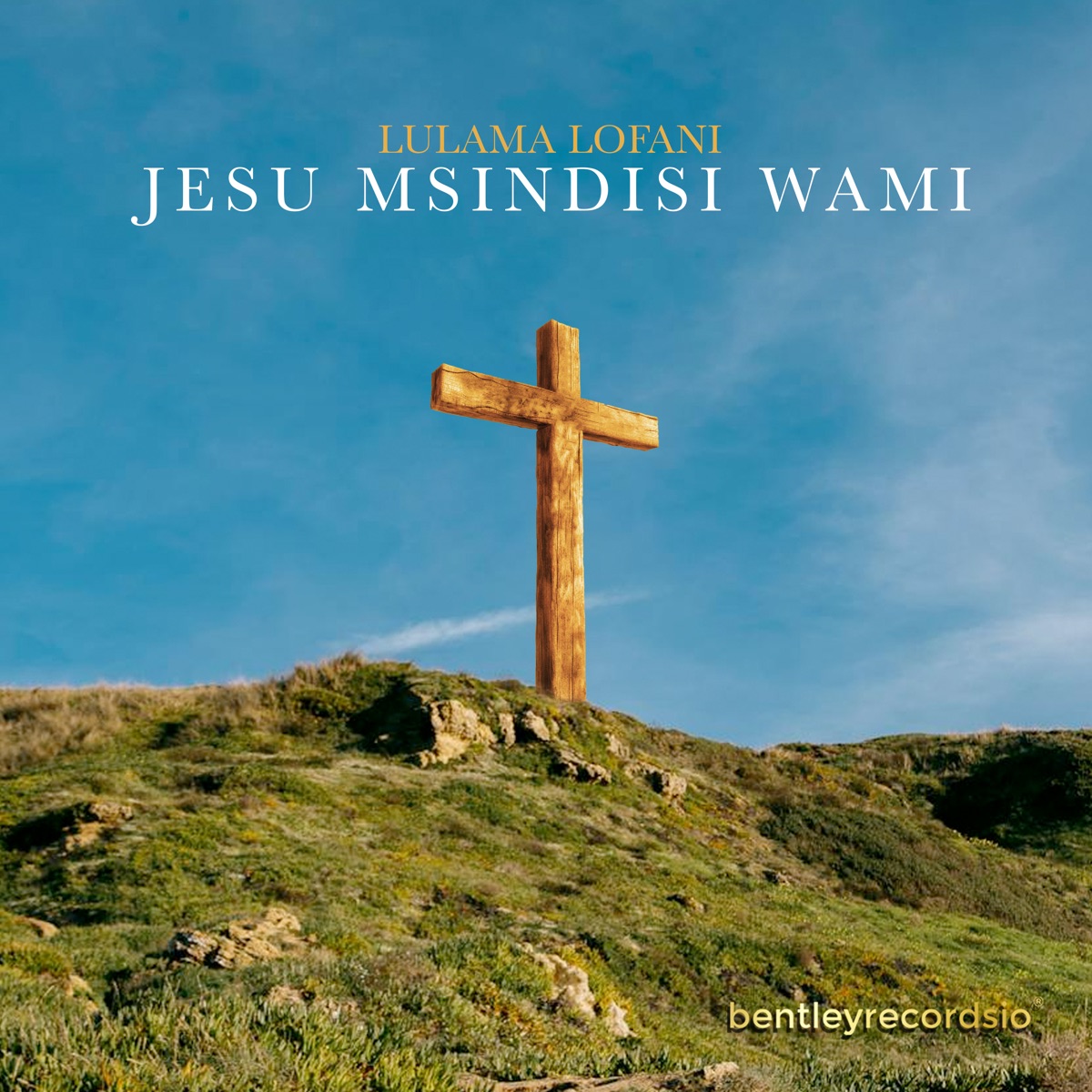 Jesu Msindisi Wami - Single by lulama lofani album cover