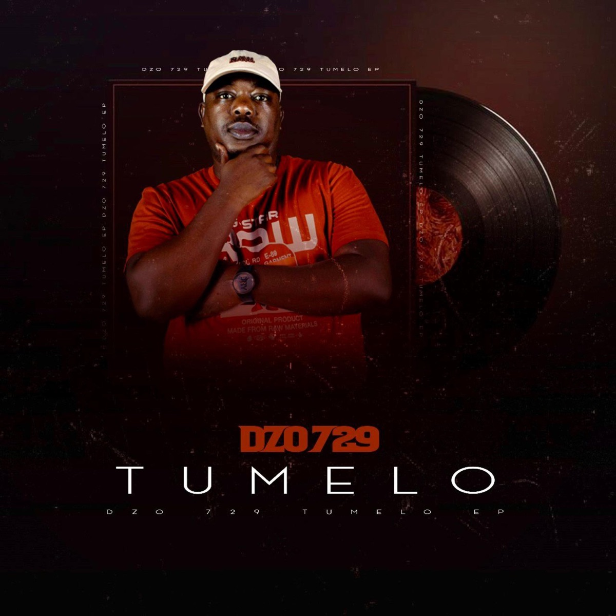 Tumelo by Dzo 729 album cover