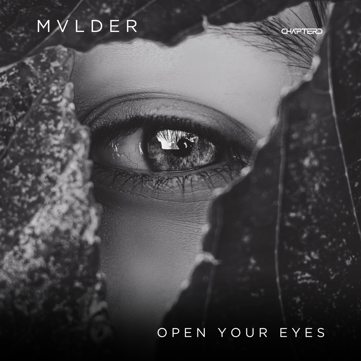 Open Your Eyes - Single by MVLDER album cover