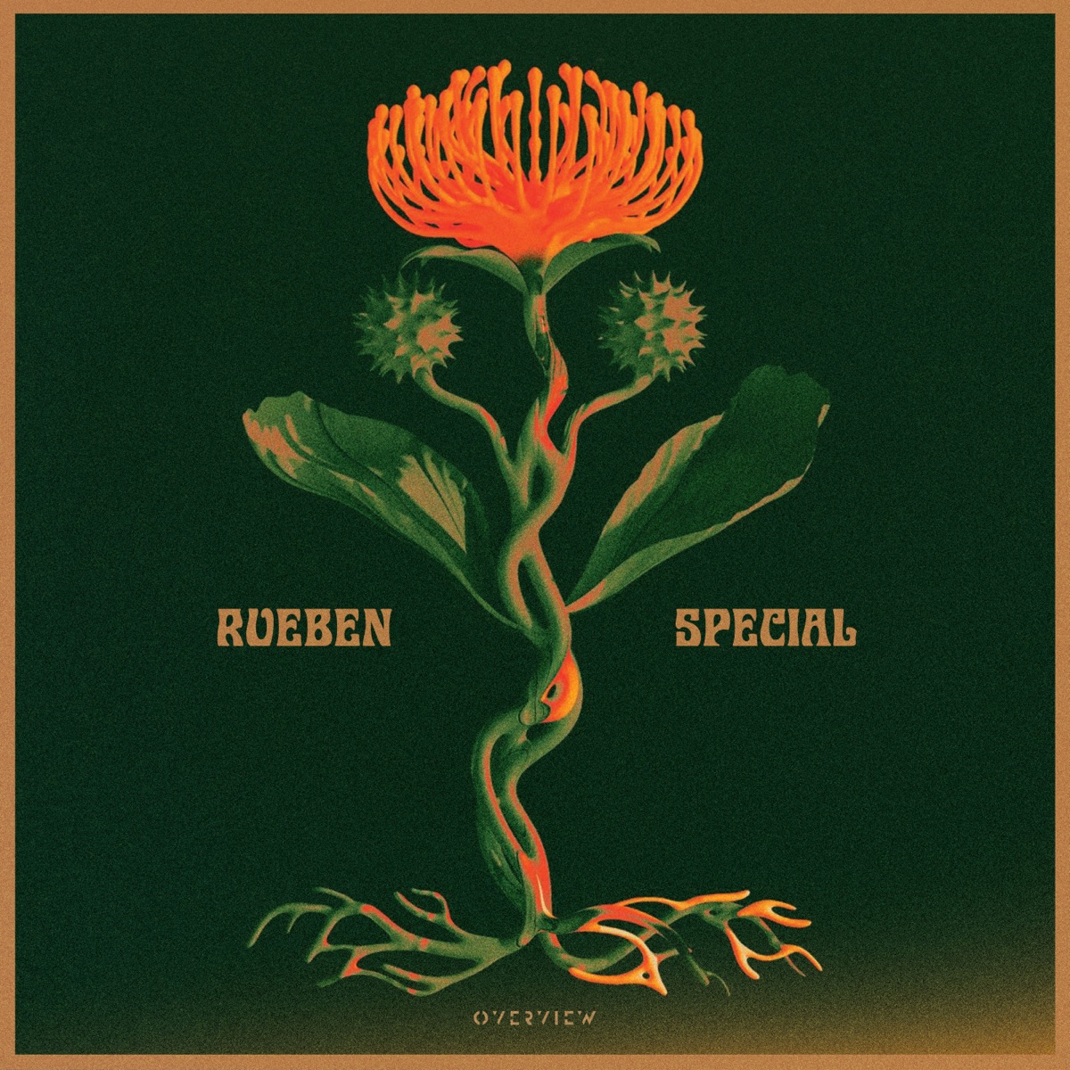 Special EP - EP by Rueben album cover
