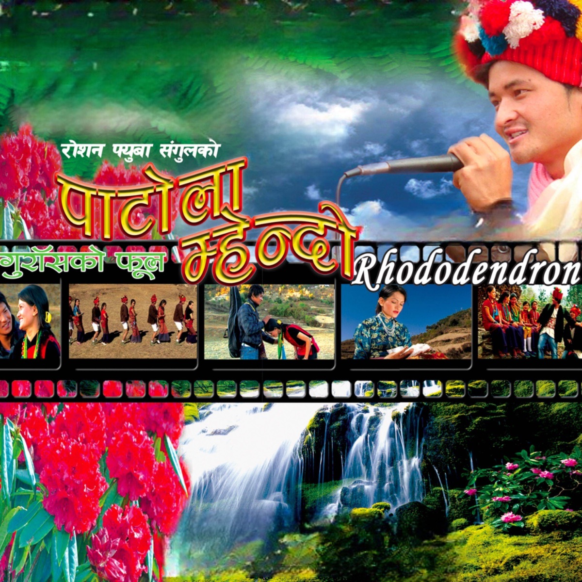 Patola Mhendo Mhendomaya - Single by Mina Lama & Roshan Phyuba Tamang album cover
