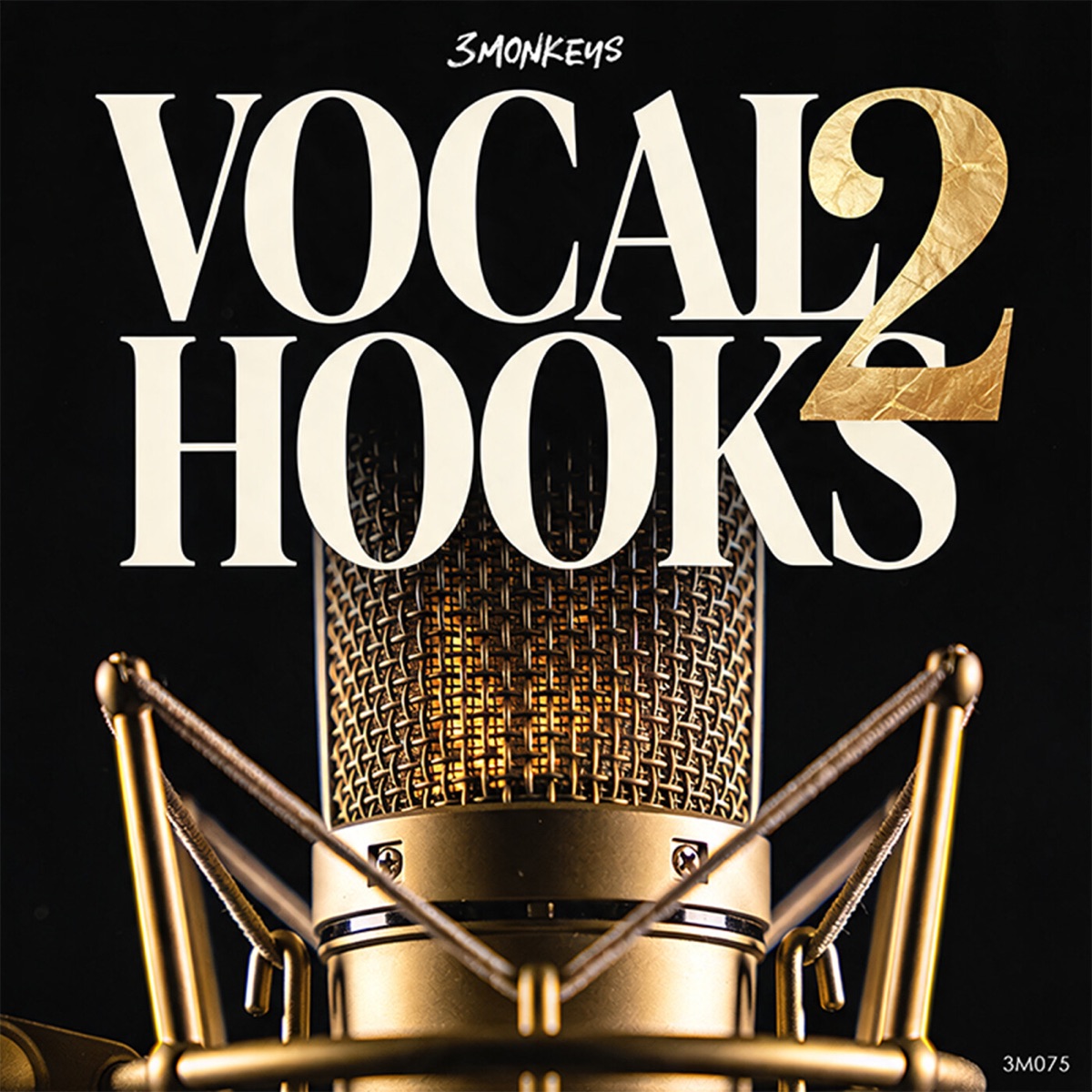 Vocal Hooks 2 by Henrik Lars Wikstrom & Jonas Pomo album cover