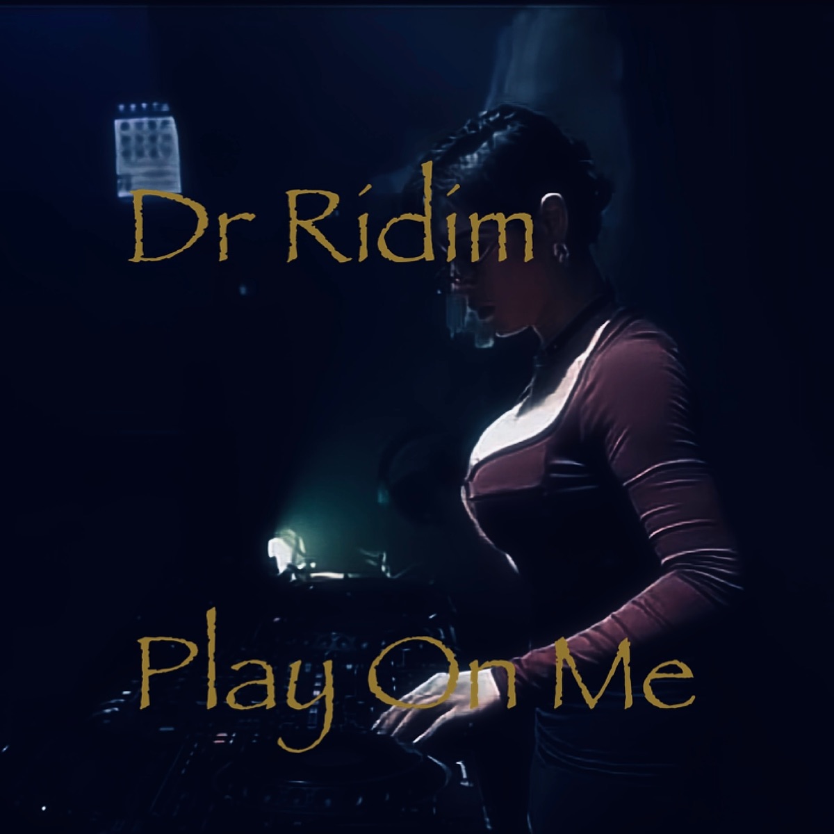 Play on Me - Single by Dr Ridim album cover