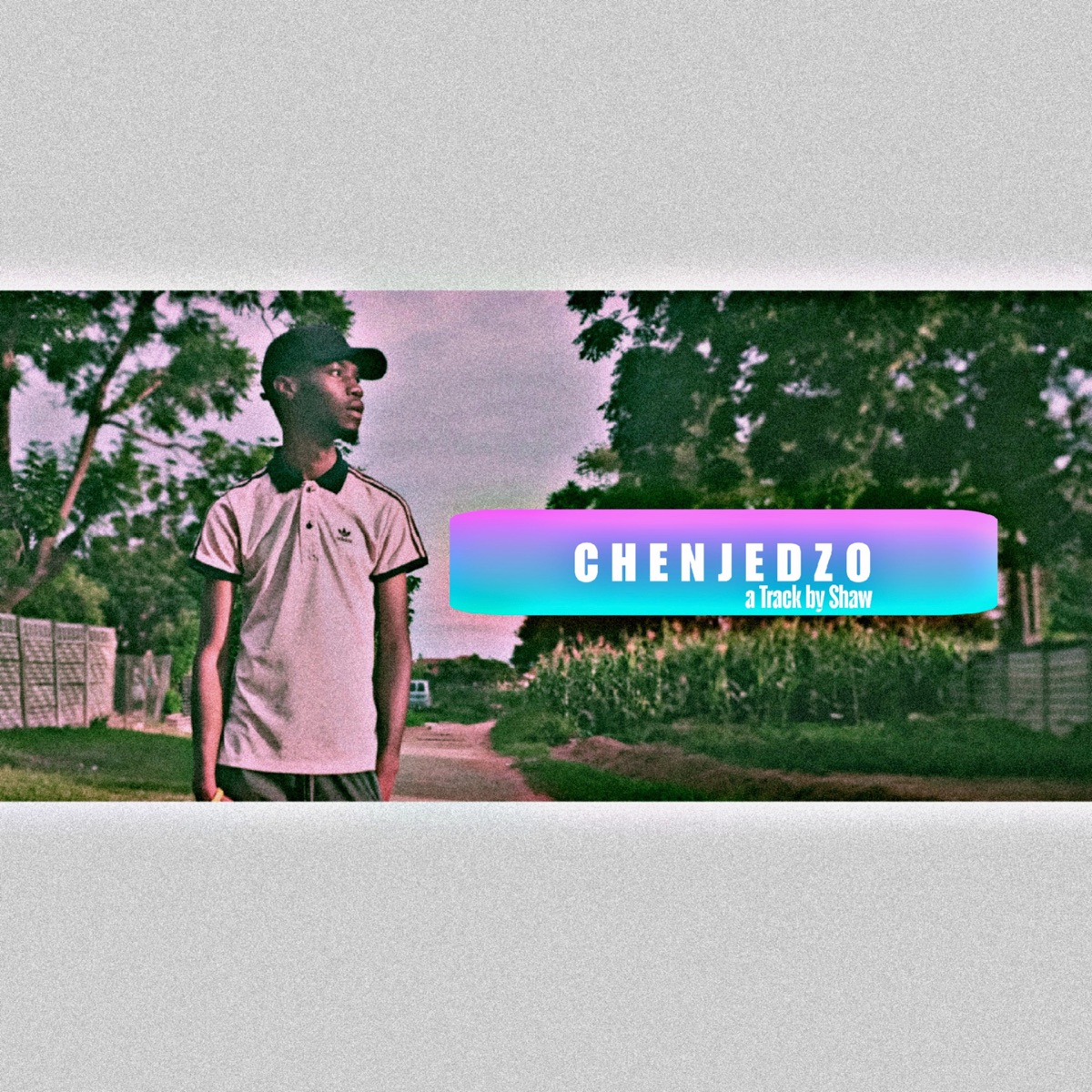 Chenjedzo - Single by Shaw album cover
