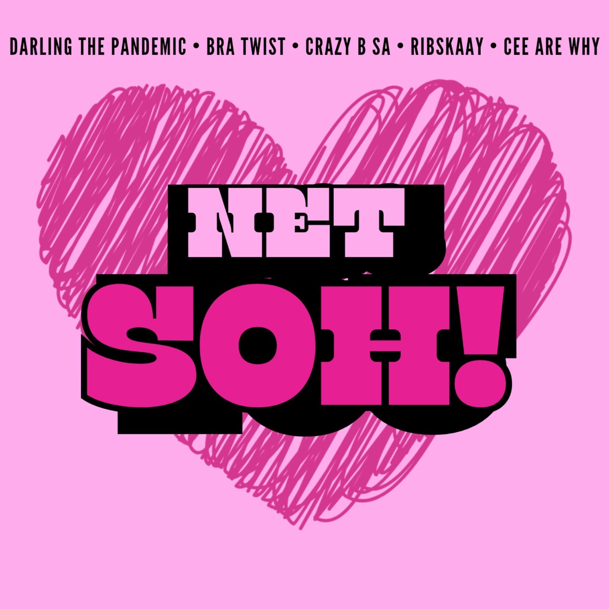 NET SOH (feat. Ribskaay & Cee are why) - Single by Darling The Pandemic, Bra Twist & Crazy-B SA album cover