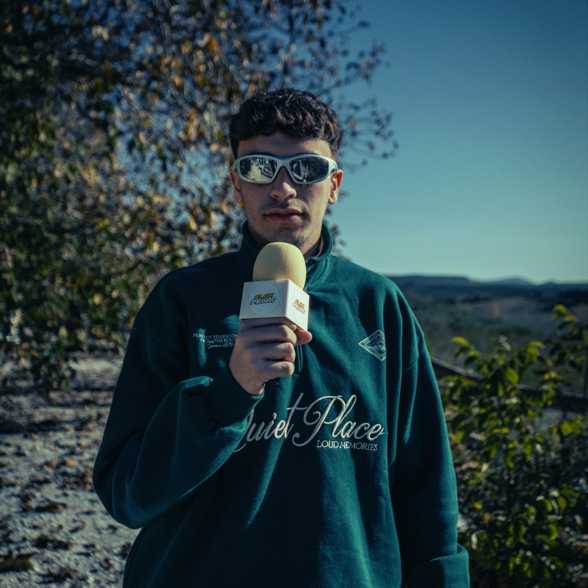 DIECINUEVE - Single by FABRA & FlowPegao album cover