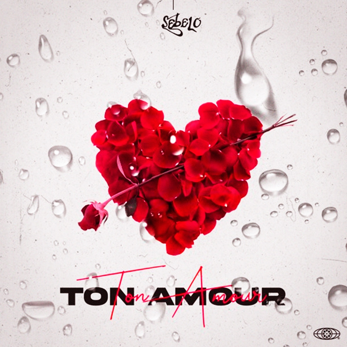 Ton amour (feat. Black Spygo) - Single by Sebelo album cover