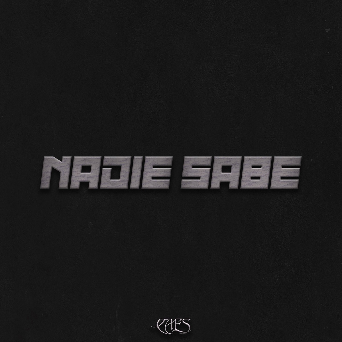 Nadie Sabe (feat. Lioner) - Single by Caes album cover