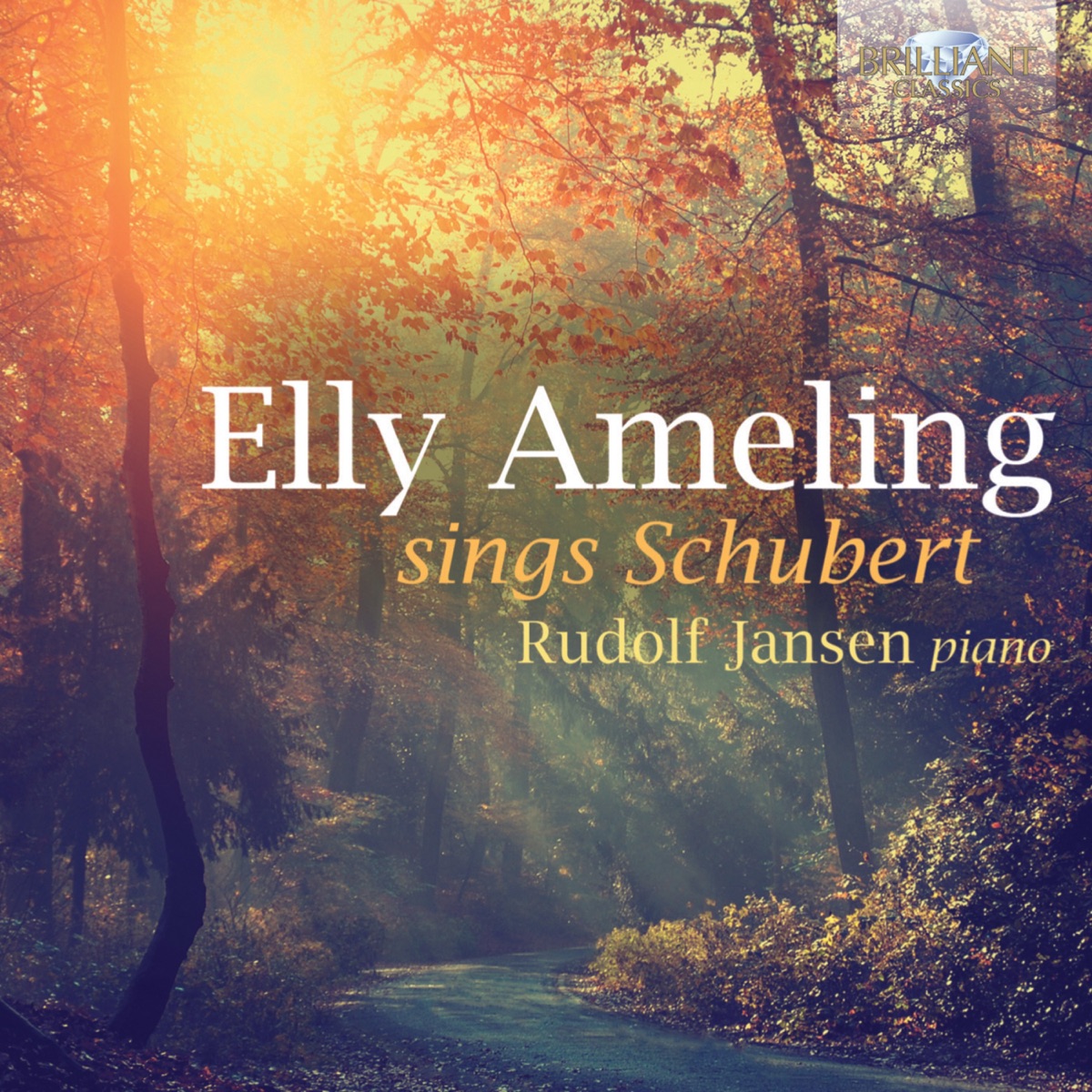 Elly Ameling Sings Schubert by Elly Ameling & Rudolf Jansen album cover