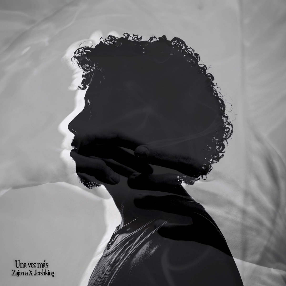 Una Vez Mas - Single by Hey Zajoma & Jorshking album cover
