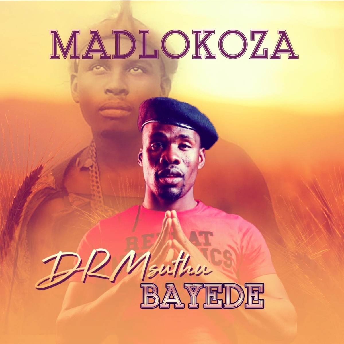 Dr Msuthu Bayede - Single by Madlokoza album cover