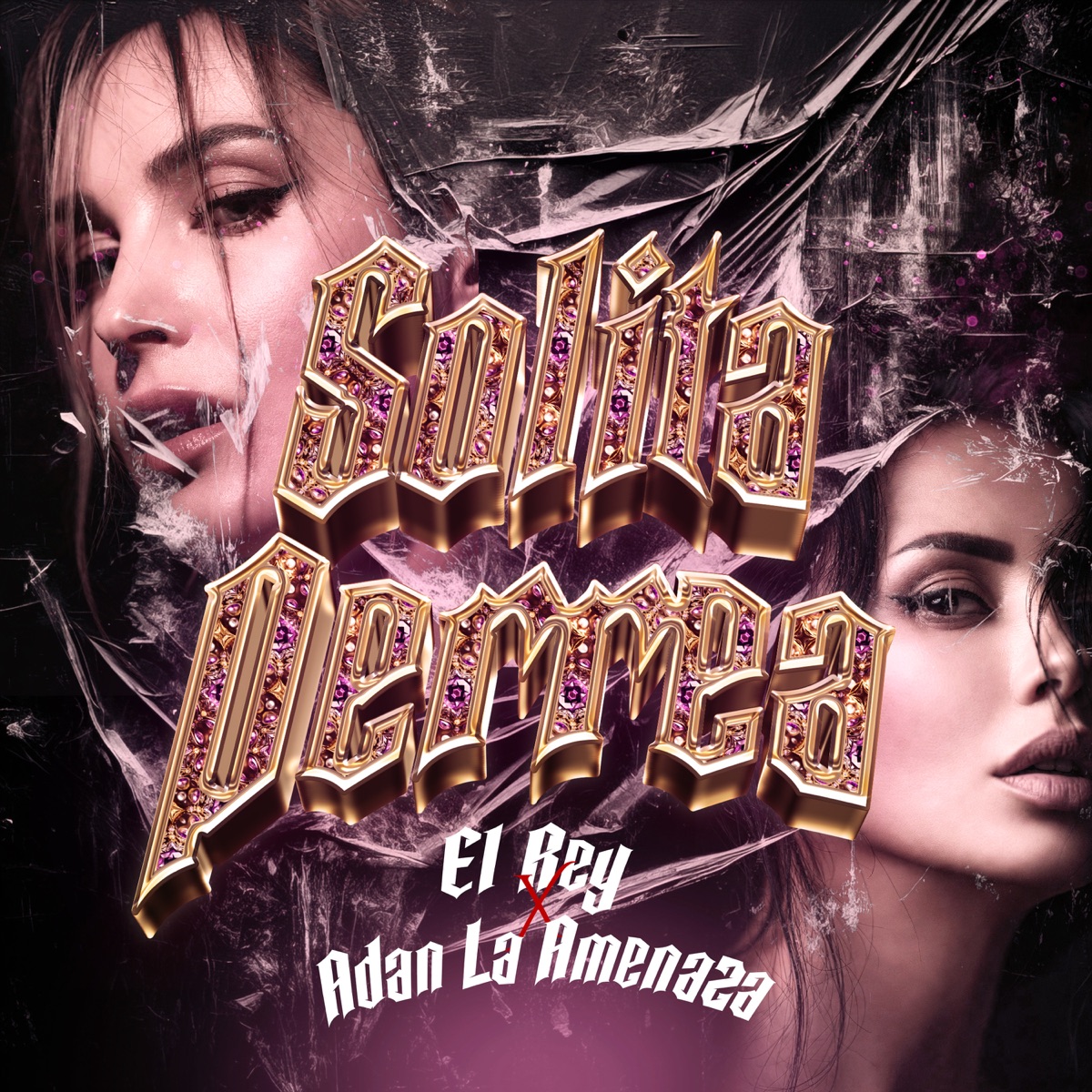 Solita Perrea - Single by El Rey & Adan La Amenaza album cover