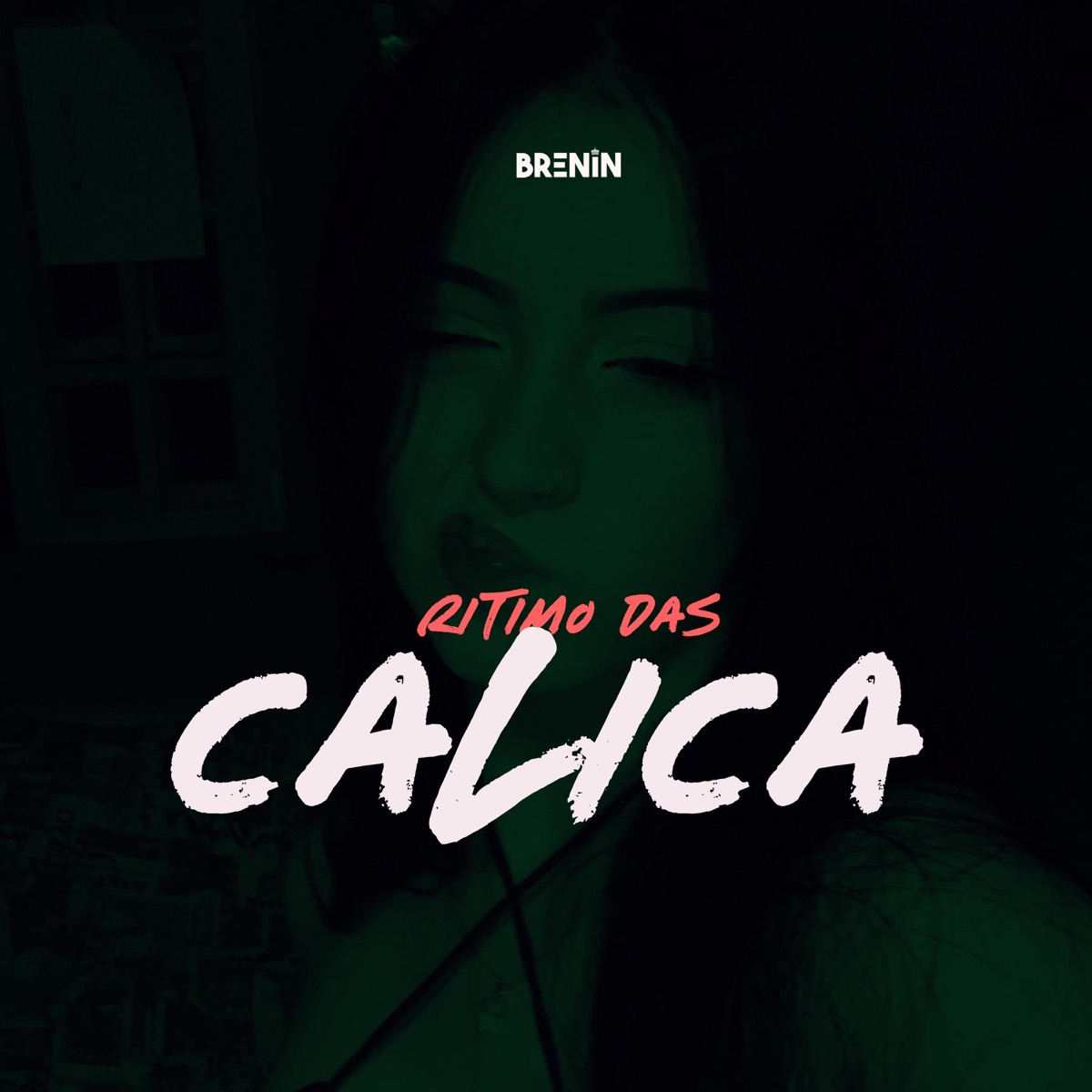 RITIMO DAS CALICA (feat. Mc Cyclope) - Single by DJ Brenin album cover