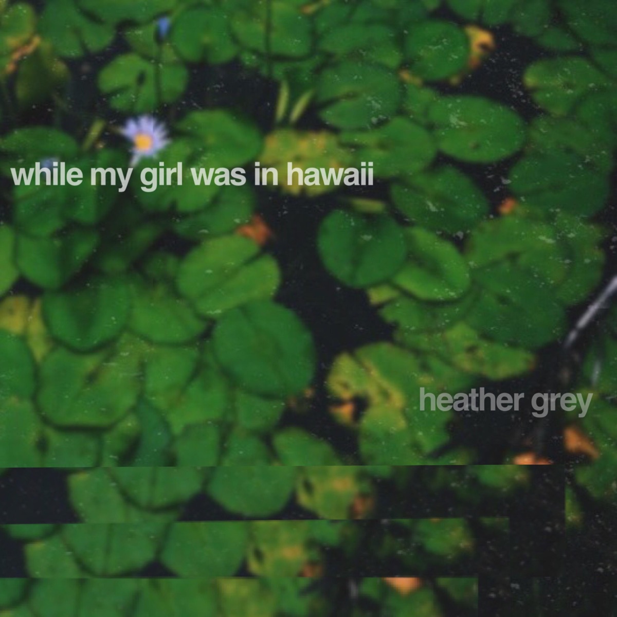 While My Girl Was in Hawaii - EP by Heather Grey album cover