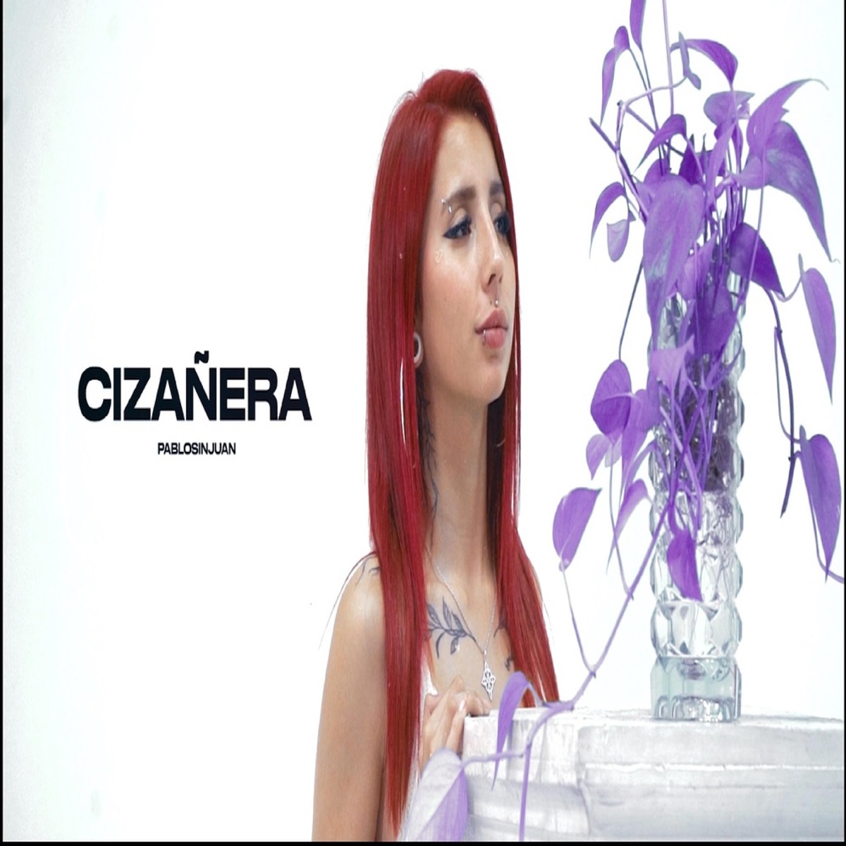 Cizañera (new version) - Single by Pablosinjuan album cover