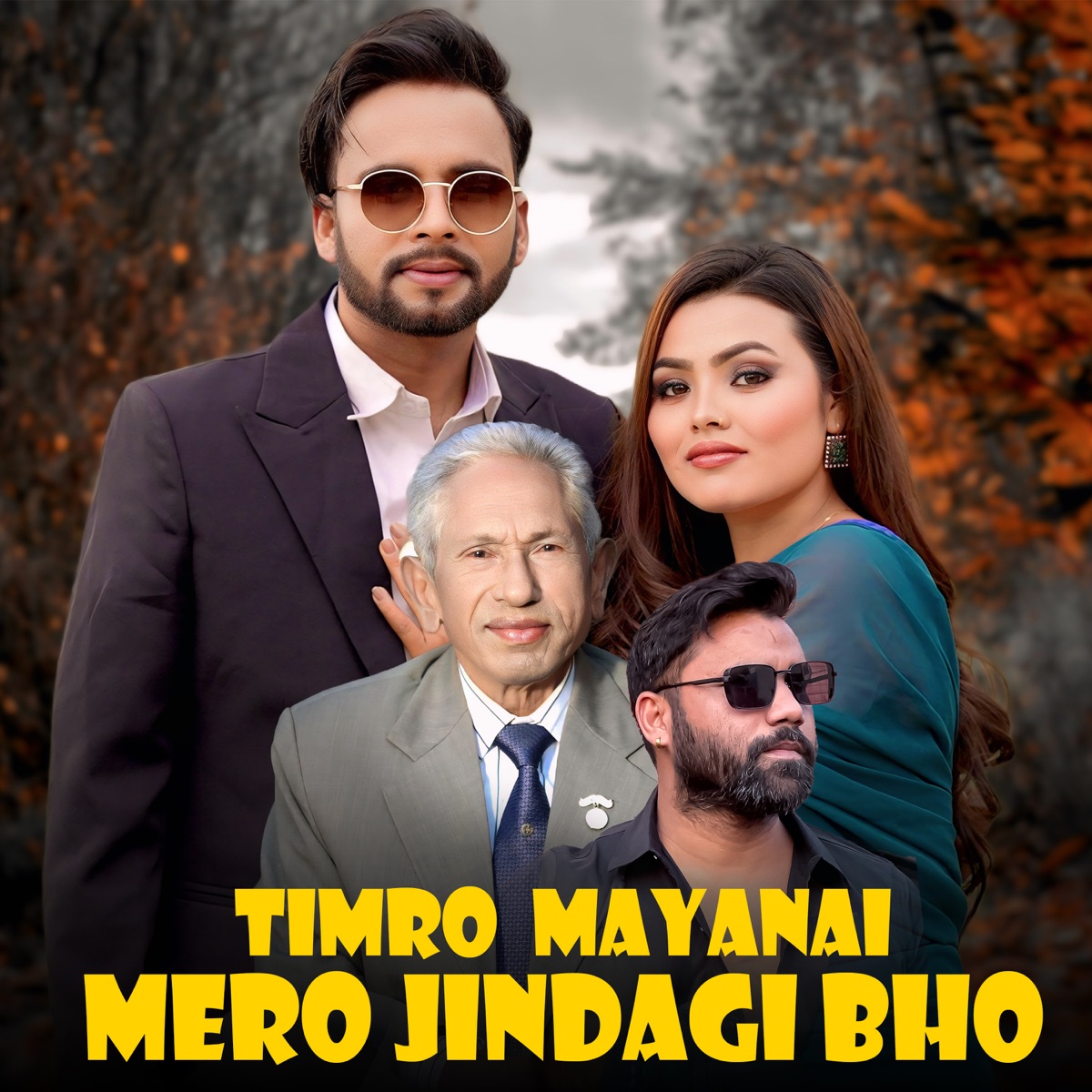 TIMRO MAYANAI MERO JINDAGI BHO - Single by Hari Bhakta Budhathoki, Tek BC & Rekha Pokhrel album cover