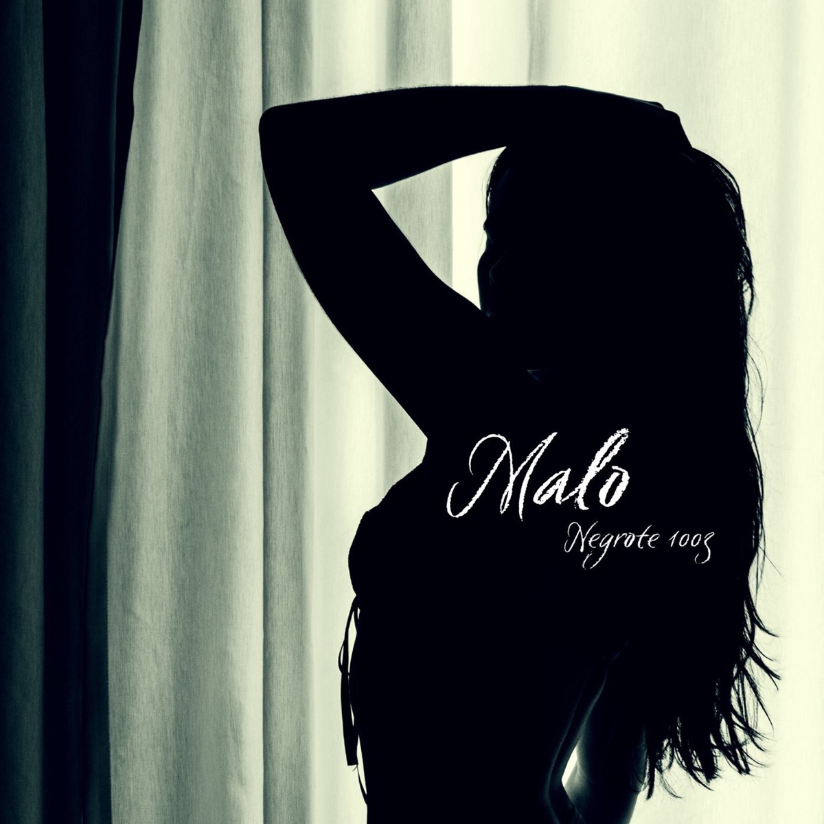 Malo - Single by Negrote 1003 album cover