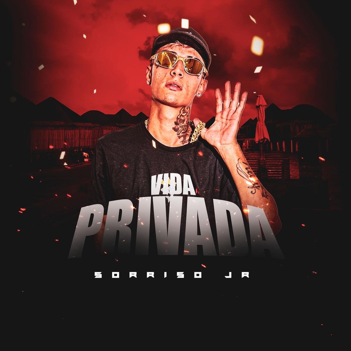 Vida Privada - Single by Sorriso Jr album cover