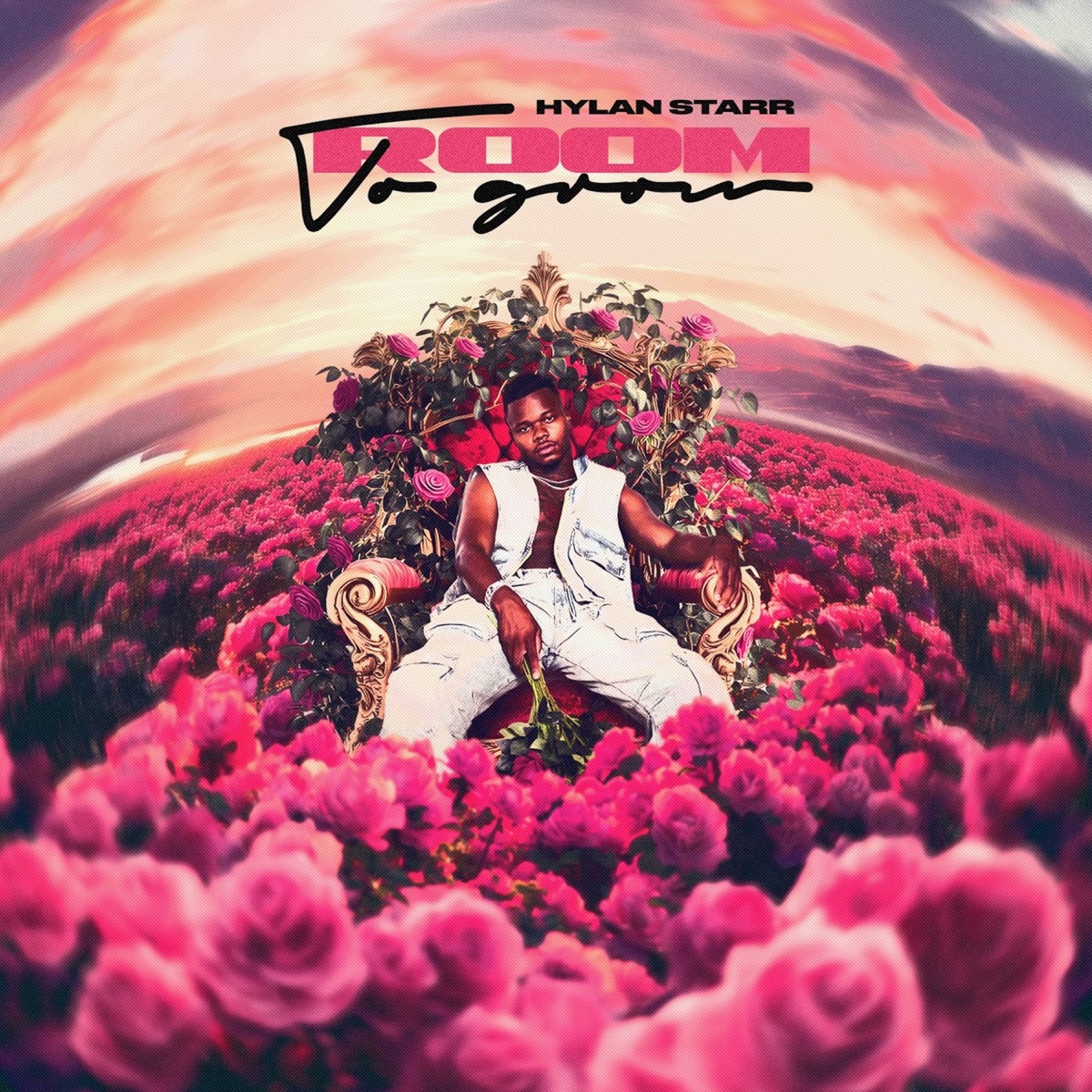 Room To Grow - EP by Hylan Starr album cover