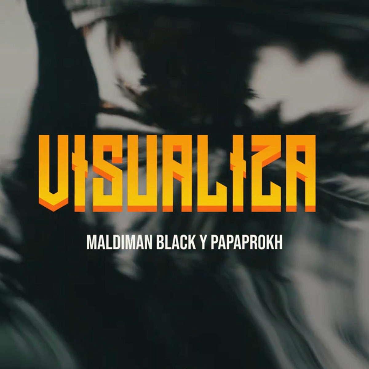 Visualiza - Single by Maldiman Black & papaprokh album cover