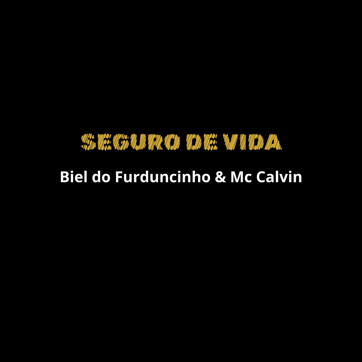 Seguro de Vida - Single by DJ Biel do Furduncinho, DJ RD DO MARTINS & Mc Calvin album cover